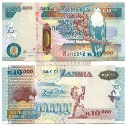 Банкнота 10000 квача 2008 год Замбия