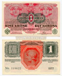 Банкнота (бона) 1 крона 1916 год Австро-Венгрия