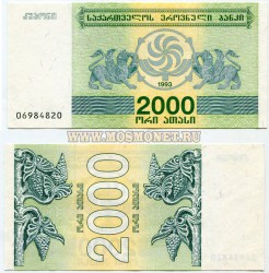  2000  1993  