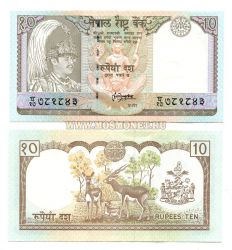 Банкнота 20 рупий 1985-2001 гг Непал