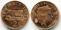 Монета 2 пенса 2003 года Гернси