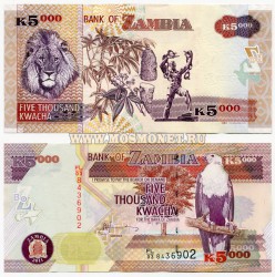 Банкнота 5000 квач 2011 год Замбия