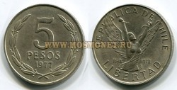 Монета 5 песо 1977 год Чили.